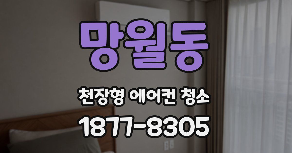 망월동 천장형 에어컨 청소
