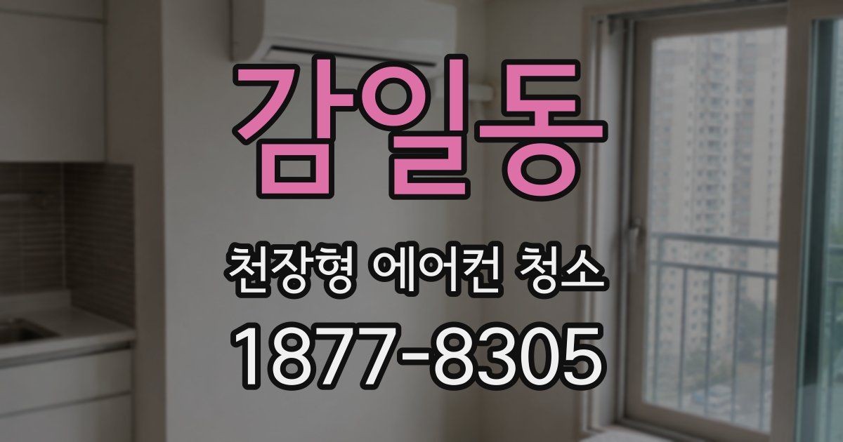 감일동 천장형 에어컨 청소