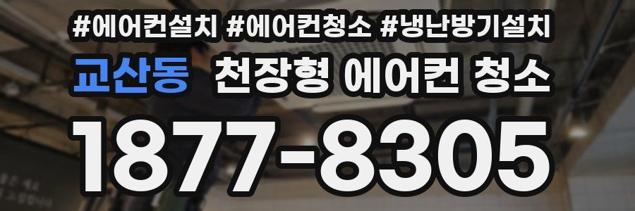 교산동 천장형 에어컨 청소