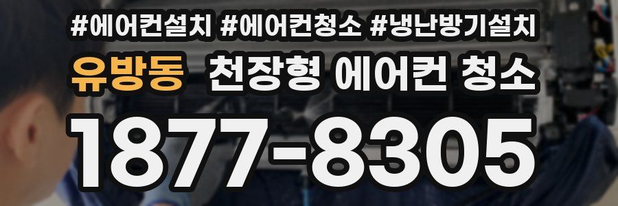 유방동 천장형 에어컨 청소