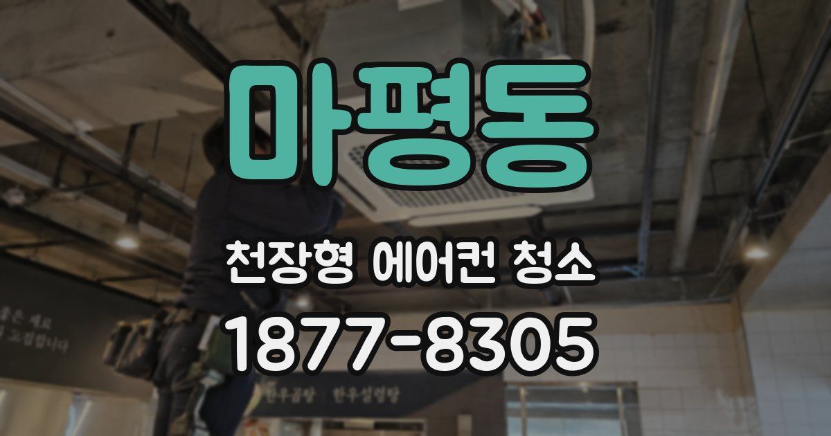 마평동 천장형 에어컨 청소