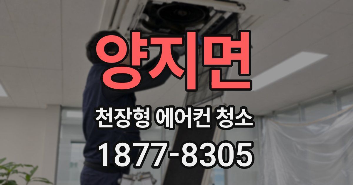 양지면 천장형 에어컨 청소