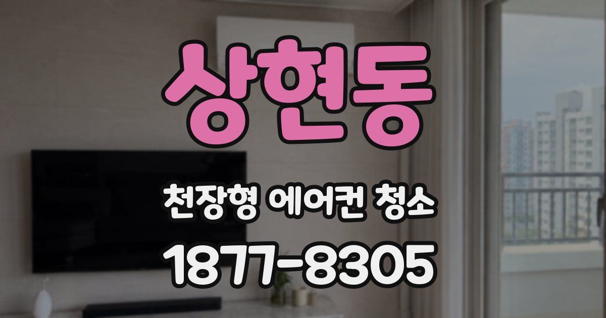 상현동 천장형 에어컨 청소