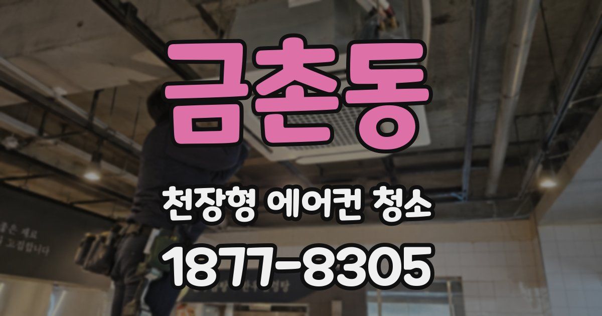 금촌동 천장형 에어컨 청소