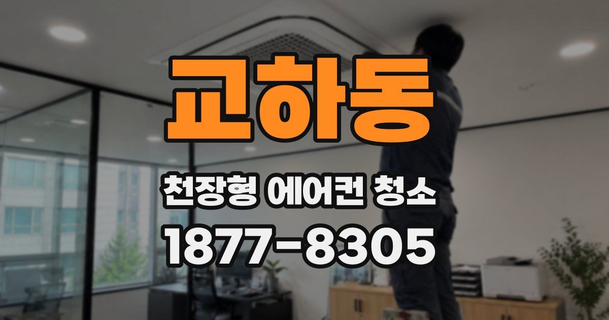 교하동 천장형 에어컨 청소