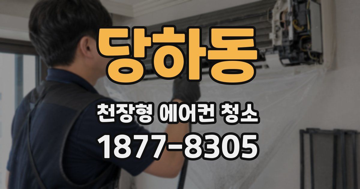 당하동 천장형 에어컨 청소