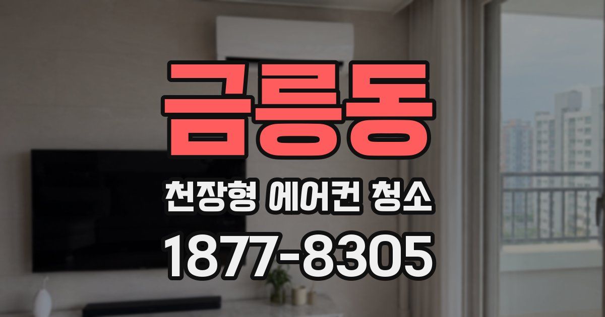 금릉동 천장형 에어컨 청소