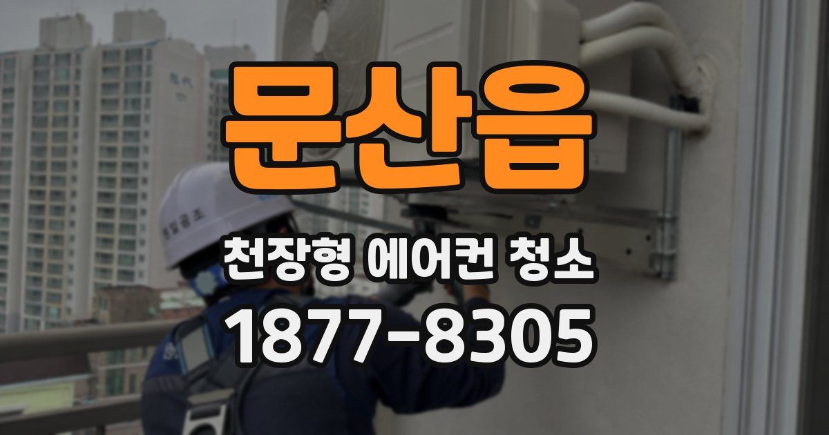 문산읍 천장형 에어컨 청소