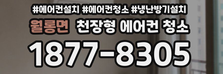 월롱면 천장형 에어컨 청소