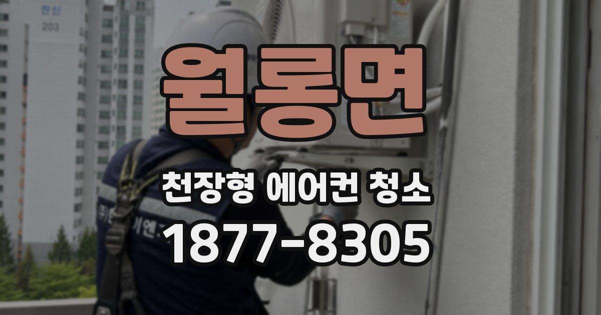 월롱면 천장형 에어컨 청소