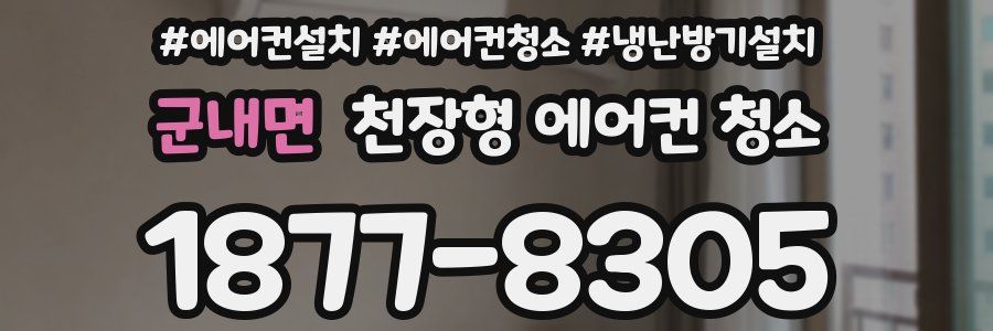 군내면 천장형 에어컨 청소