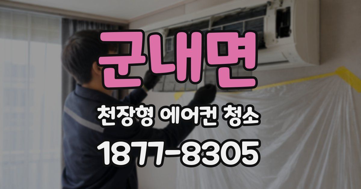 군내면 천장형 에어컨 청소