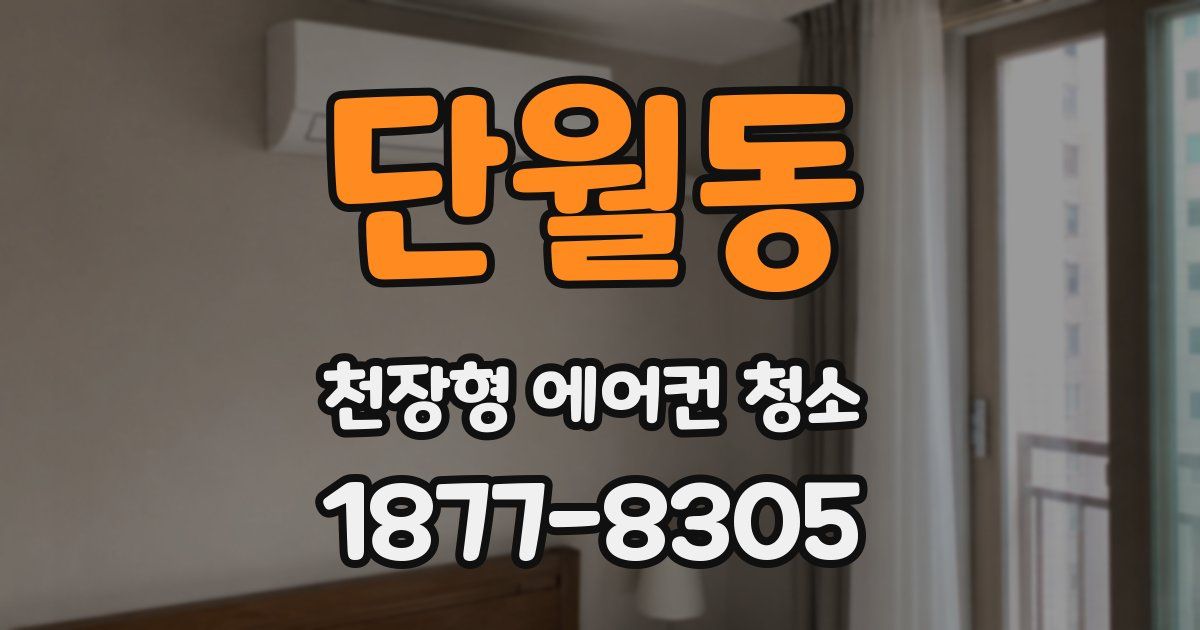 단월동 천장형 에어컨 청소