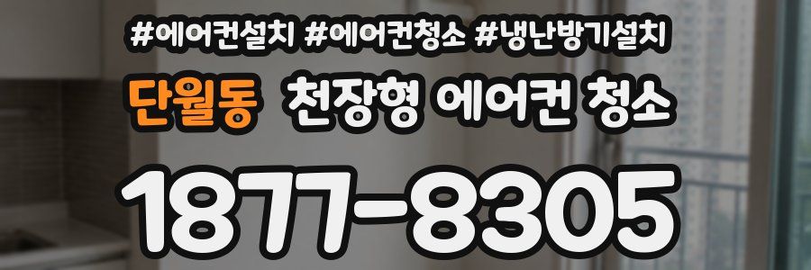 단월동 천장형 에어컨 청소