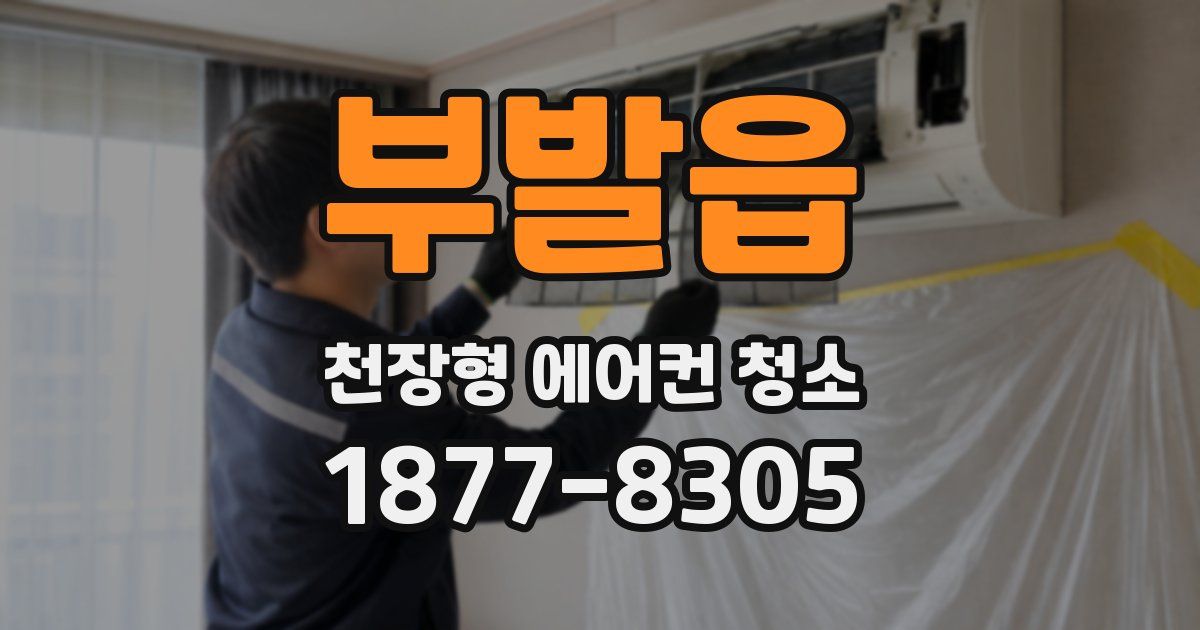 부발읍 천장형 에어컨 청소
