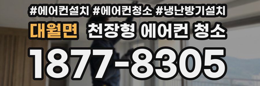 대월면 천장형 에어컨 청소