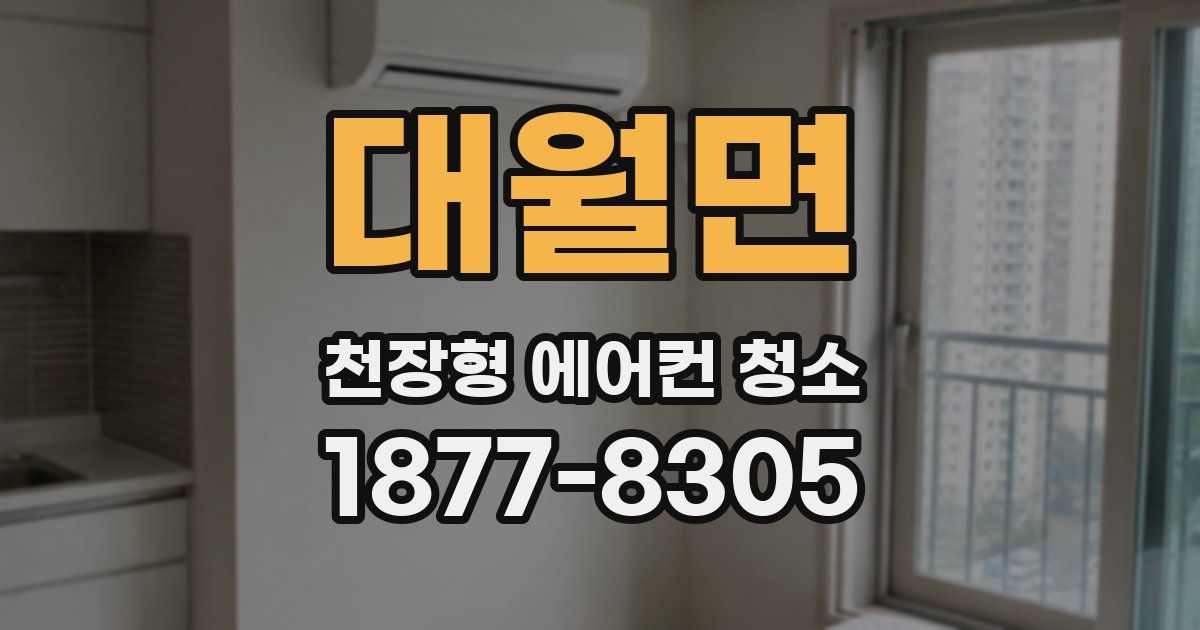 대월면 천장형 에어컨 청소