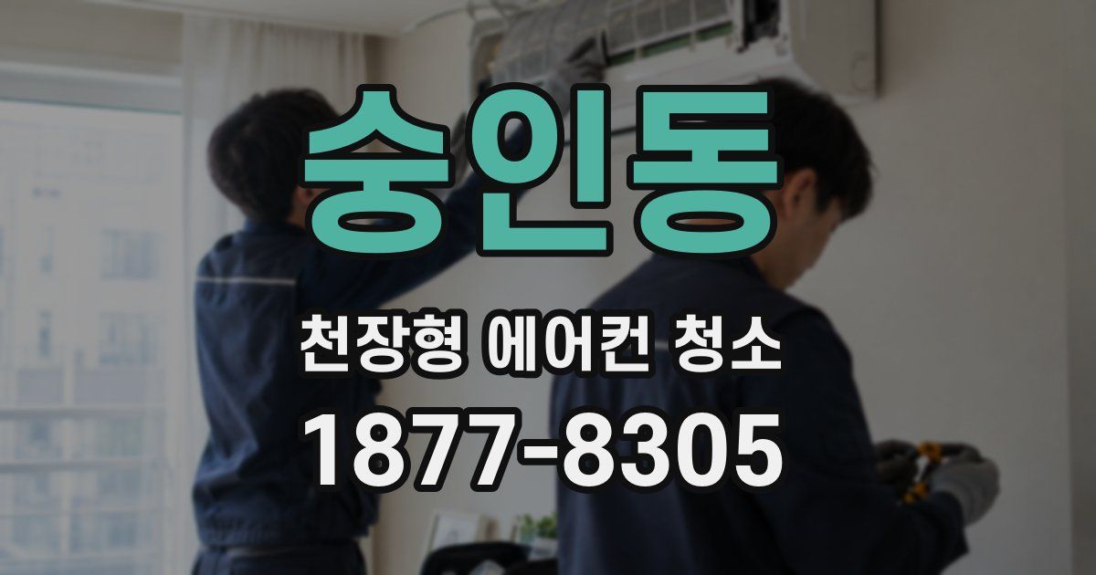 숭인동 천장형 에어컨 청소