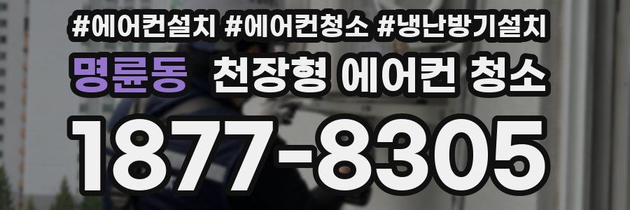 명륜동 천장형 에어컨 청소