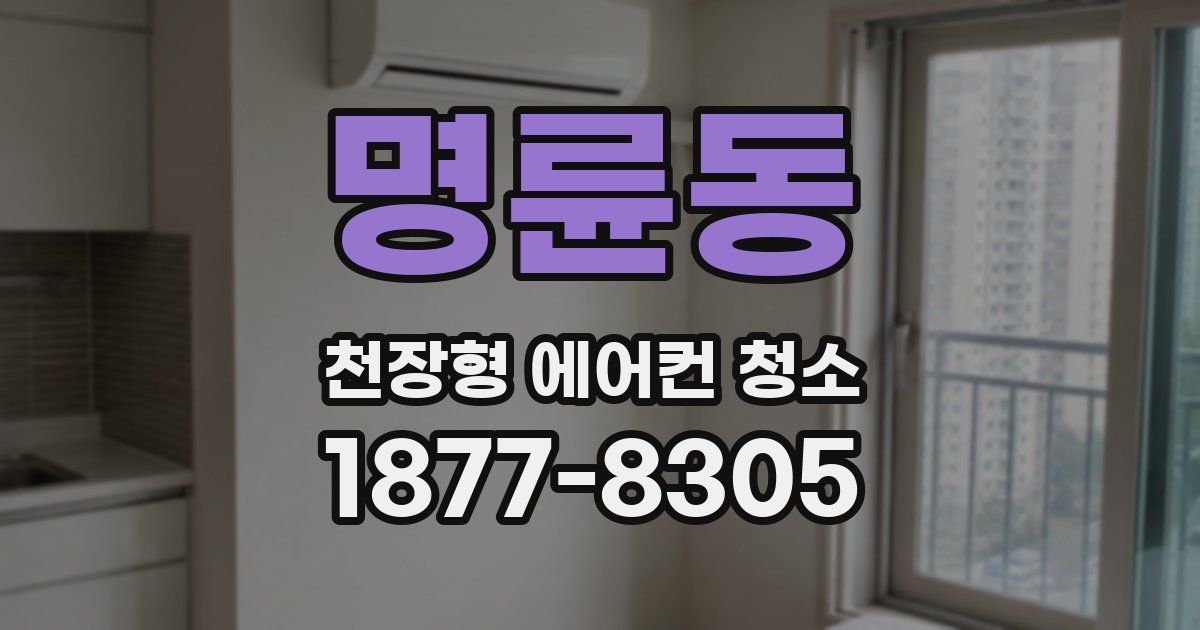명륜동 천장형 에어컨 청소