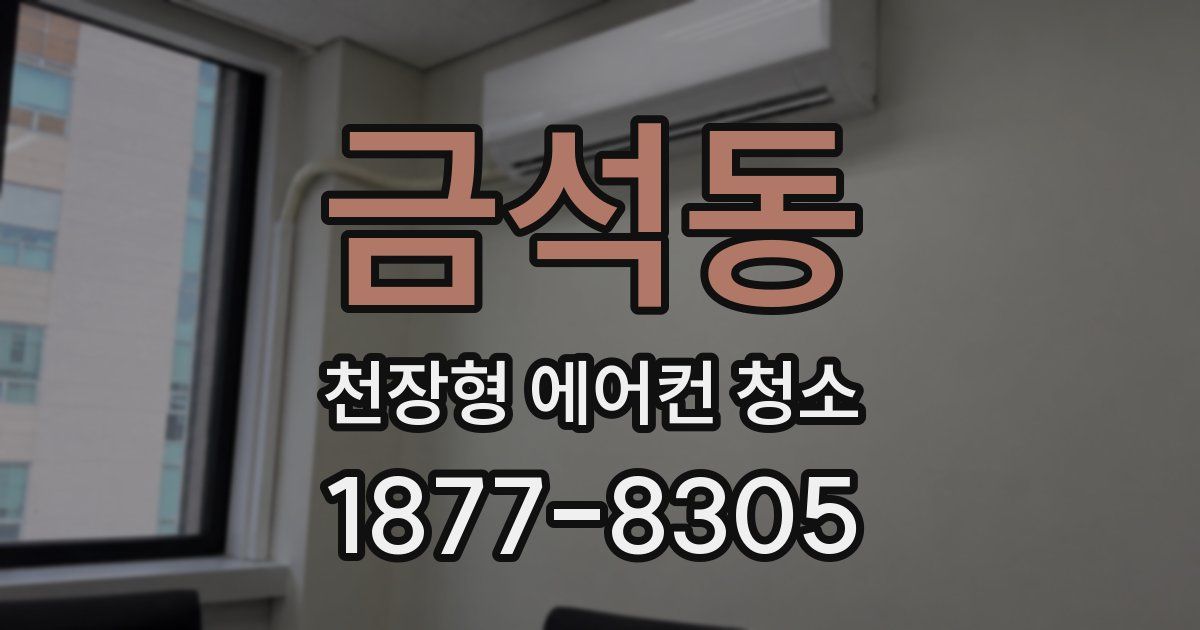금석동 천장형 에어컨 청소