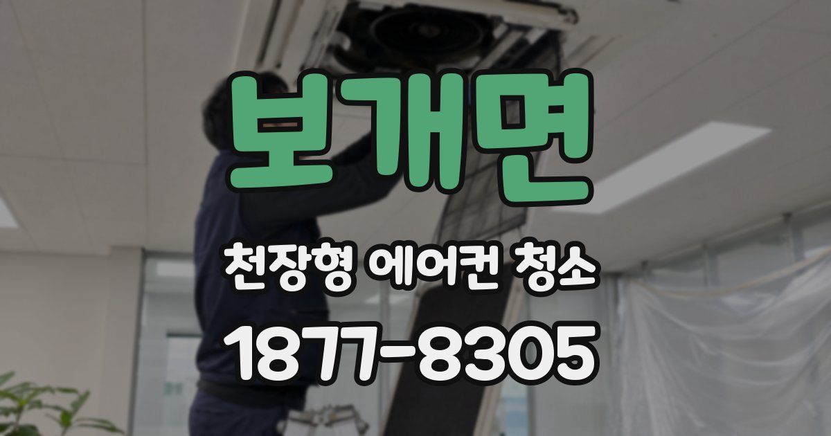 보개면 천장형 에어컨 청소
