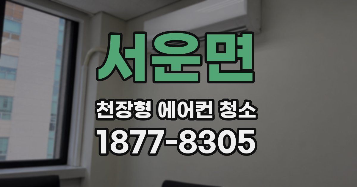 서운면 천장형 에어컨 청소