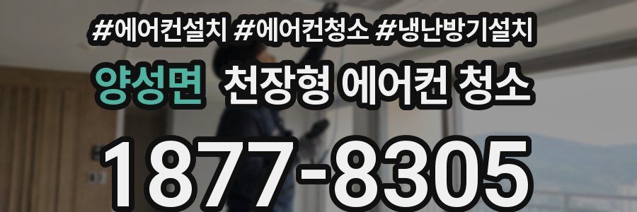 양성면 천장형 에어컨 청소
