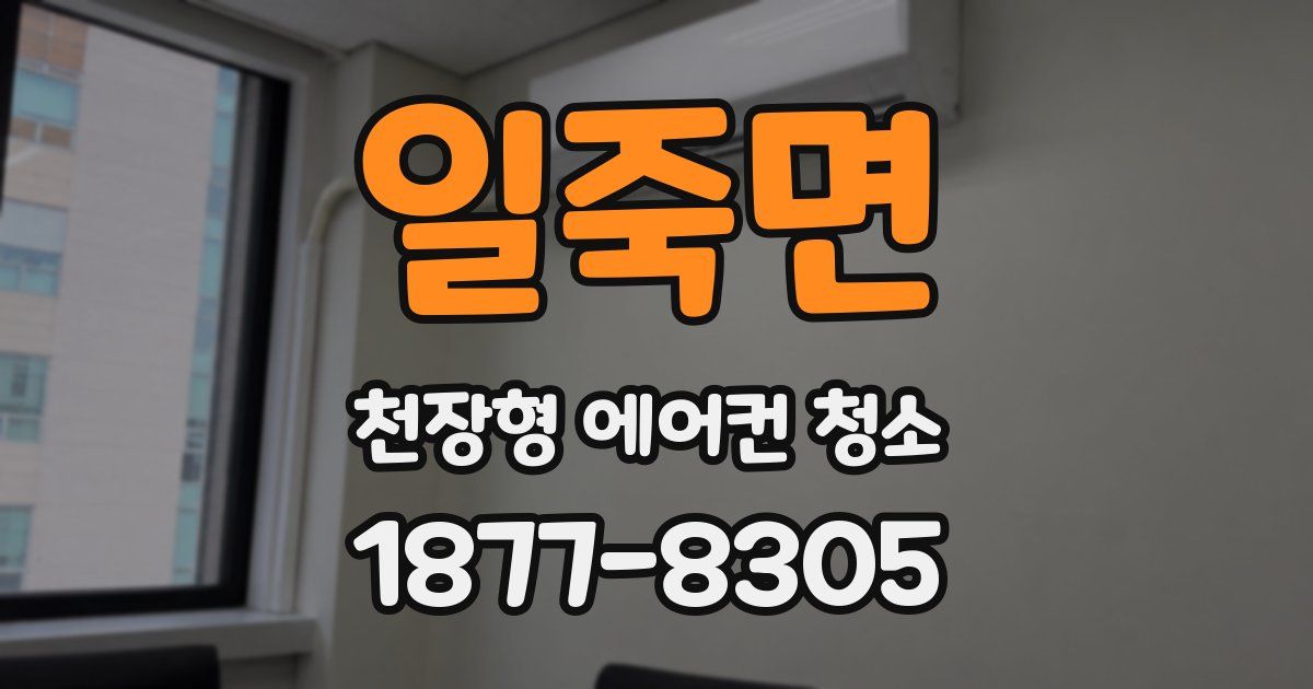 일죽면 천장형 에어컨 청소