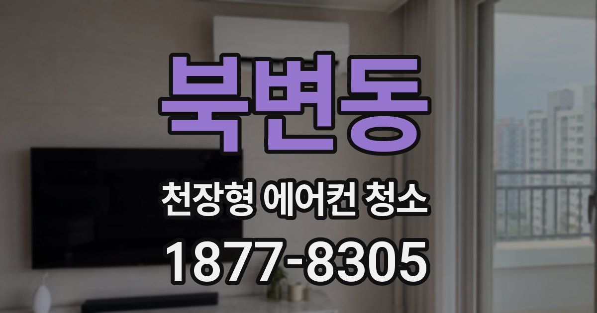 북변동 천장형 에어컨 청소