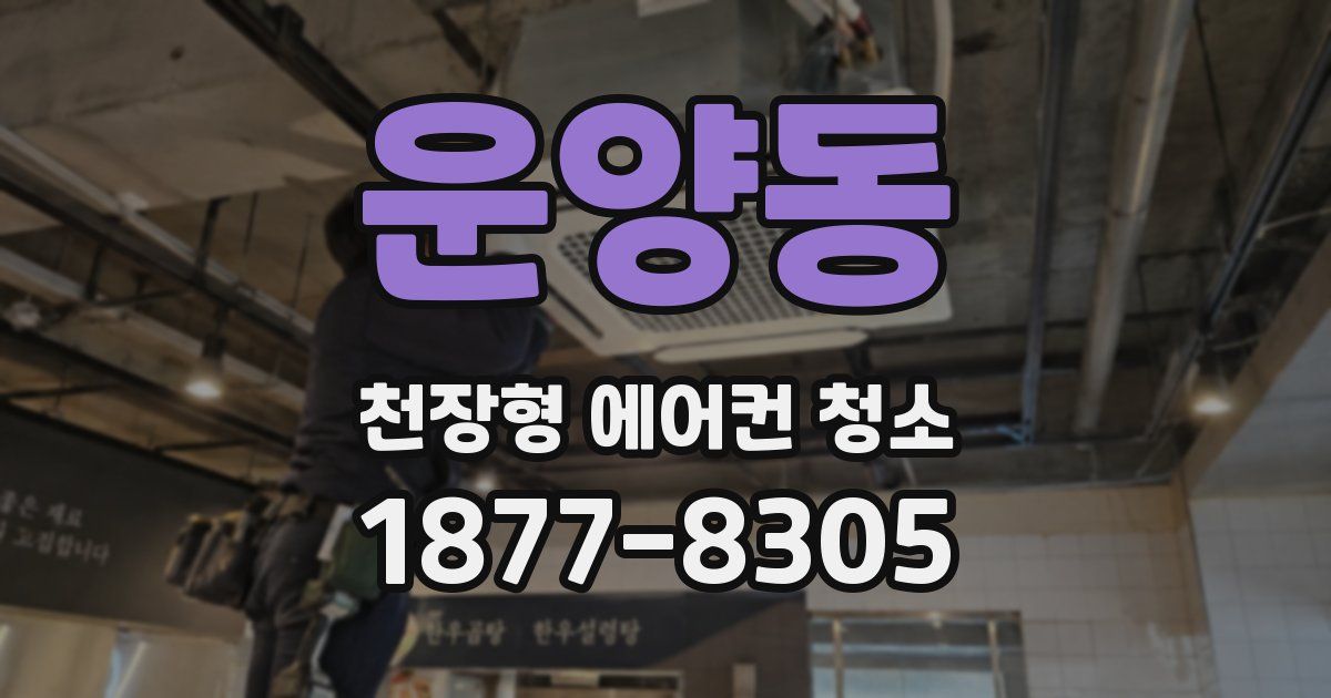 운양동 천장형 에어컨 청소