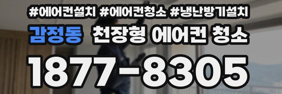 감정동 천장형 에어컨 청소