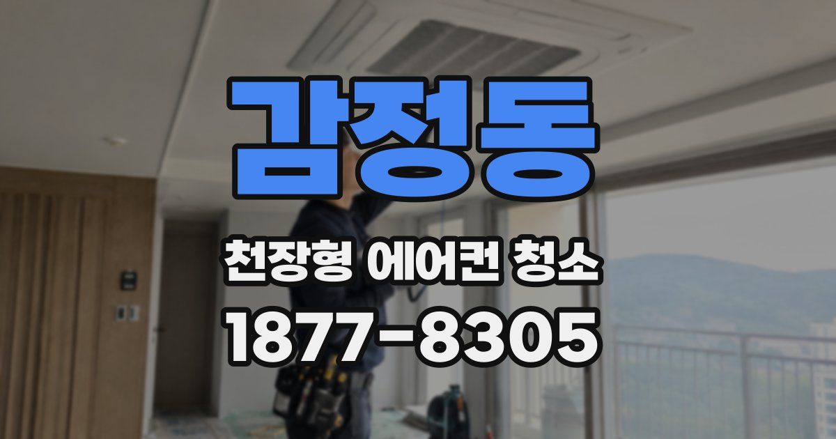 감정동 천장형 에어컨 청소