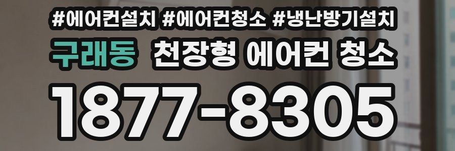 구래동 천장형 에어컨 청소