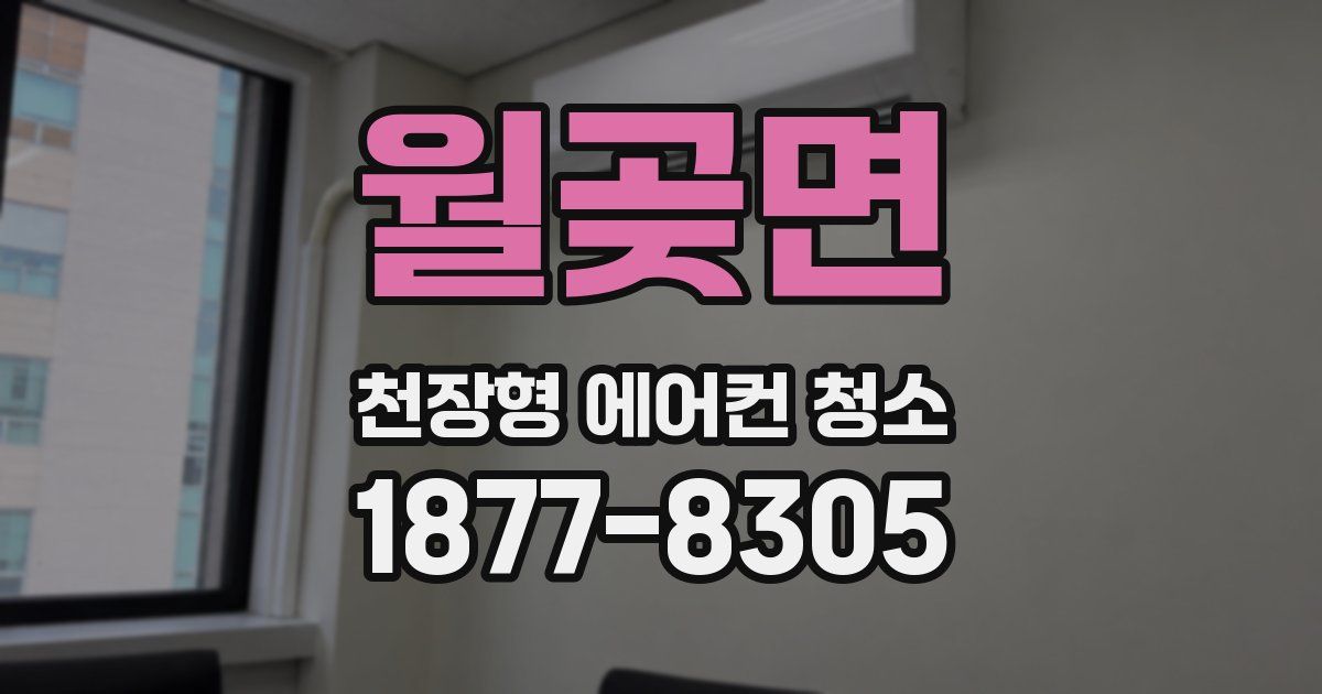 월곶면 천장형 에어컨 청소