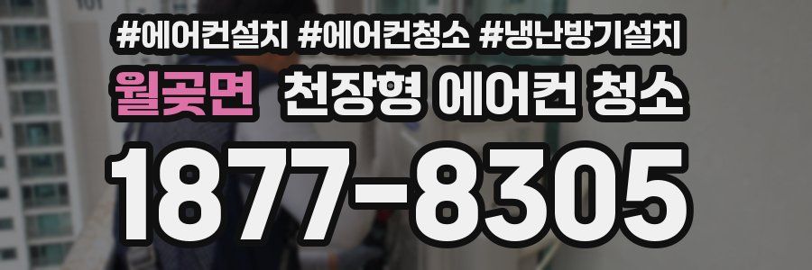 월곶면 천장형 에어컨 청소