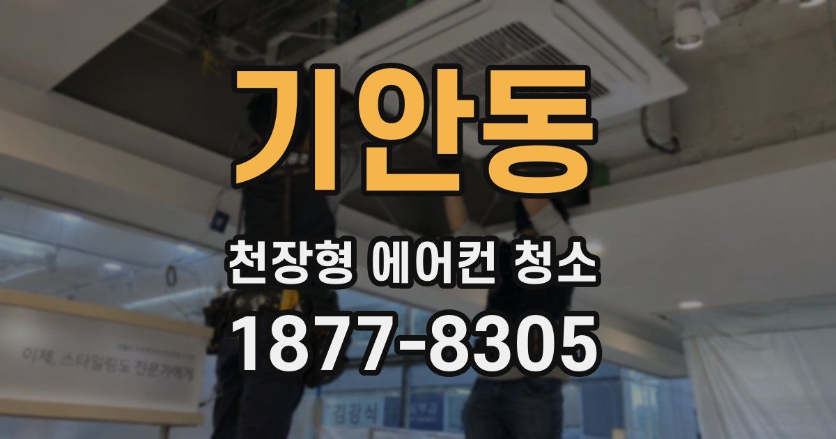 기안동 천장형 에어컨 청소
