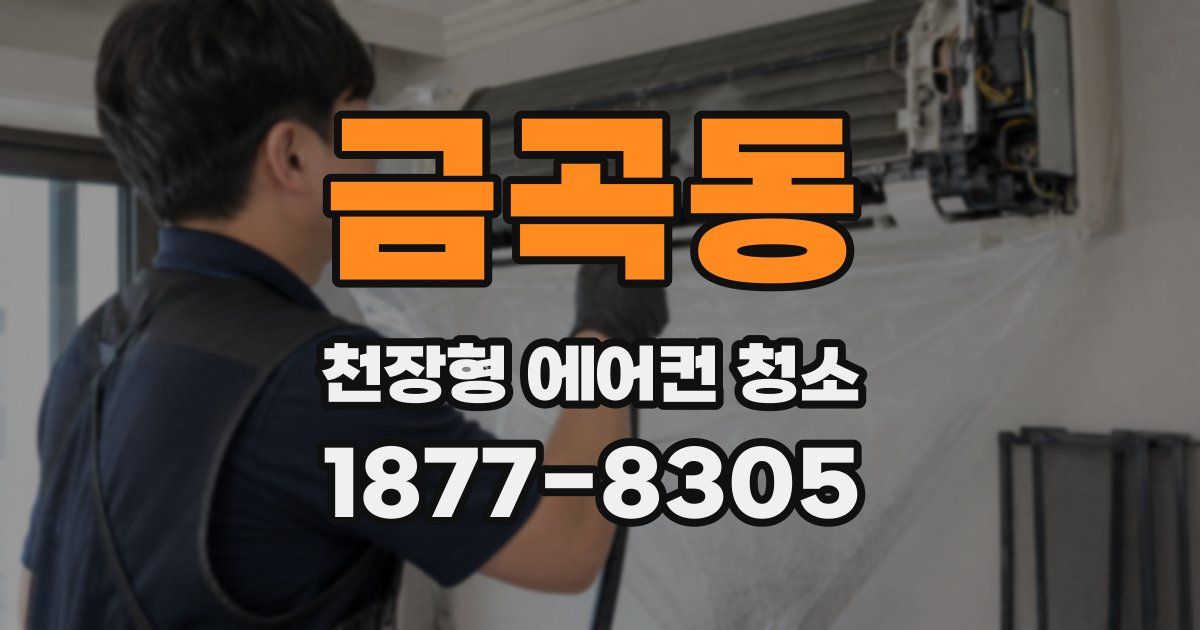 금곡동 천장형 에어컨 청소