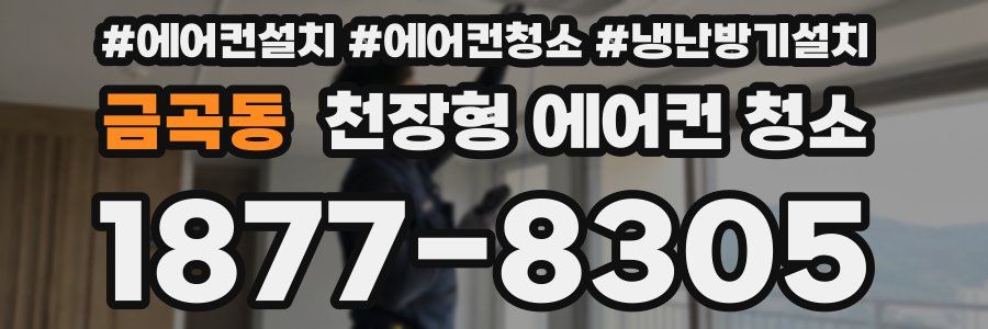 금곡동 천장형 에어컨 청소