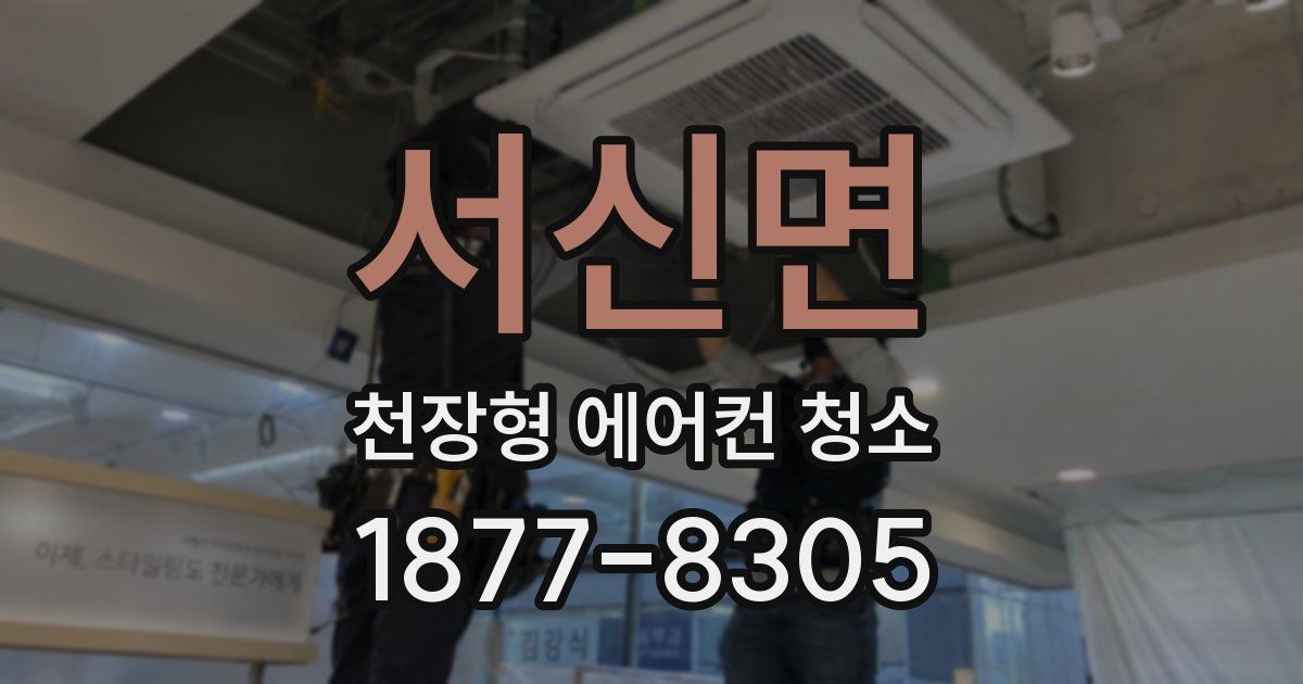 서신면 천장형 에어컨 청소