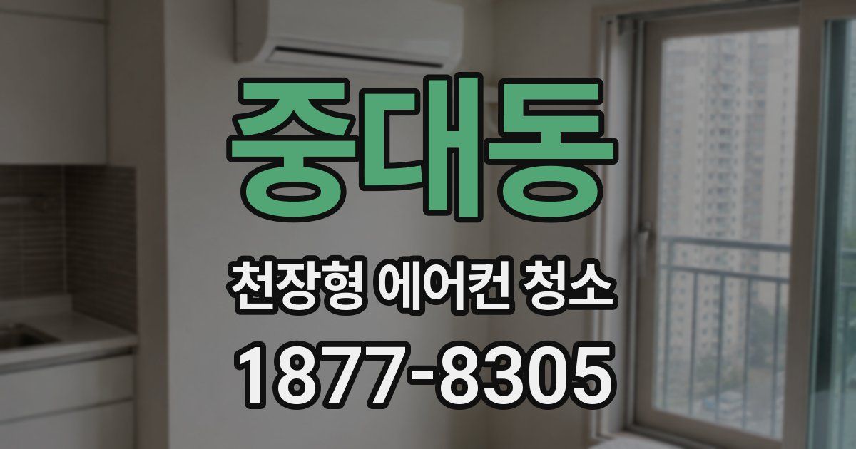 중대동 천장형 에어컨 청소