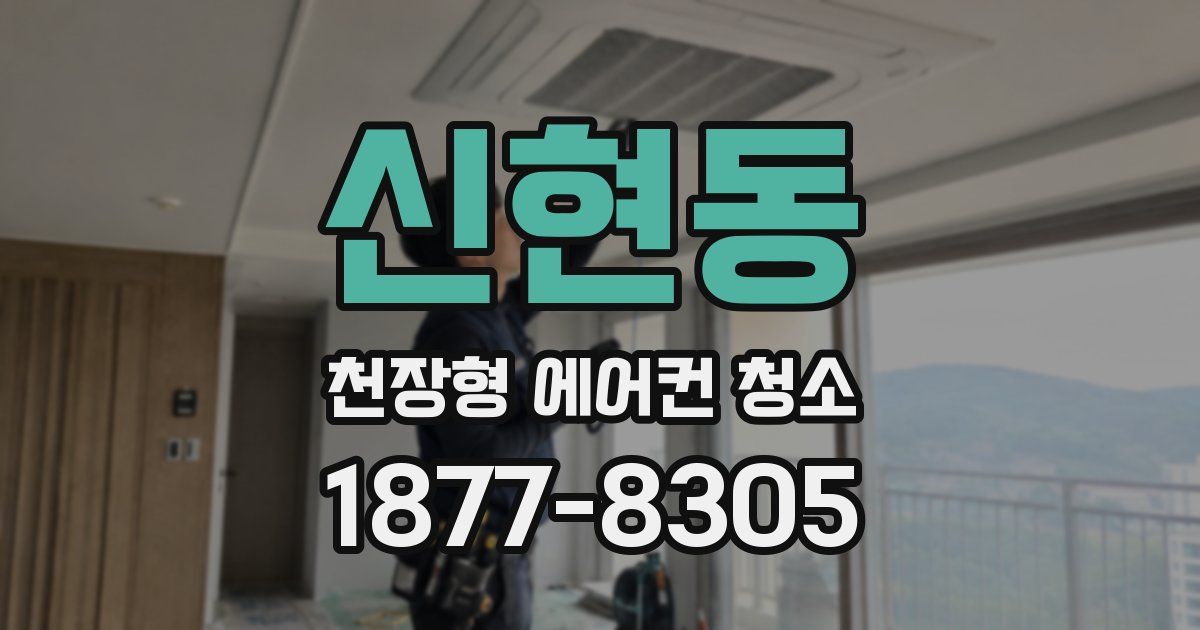 신현동 천장형 에어컨 청소