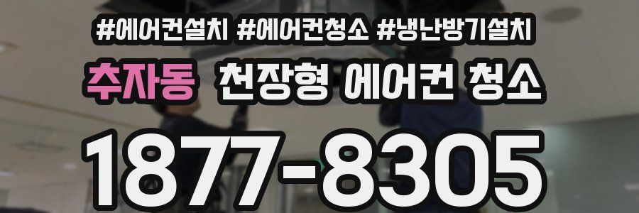 추자동 천장형 에어컨 청소