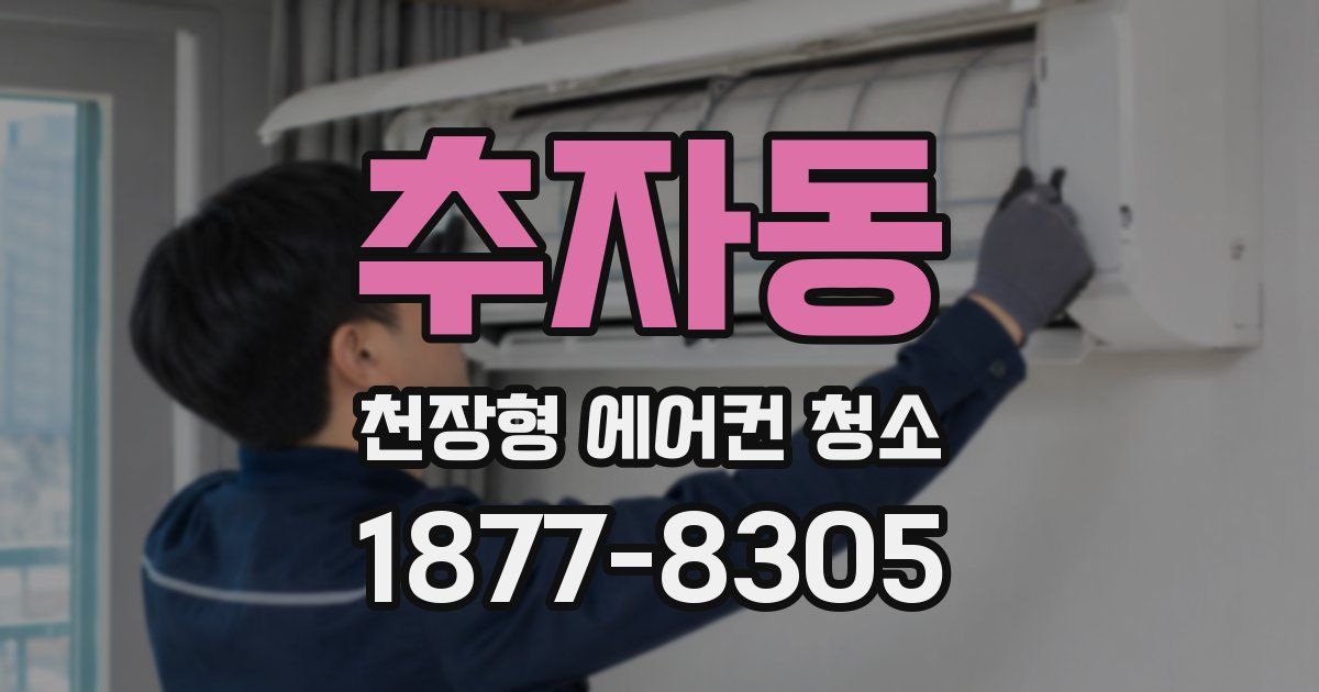 추자동 천장형 에어컨 청소