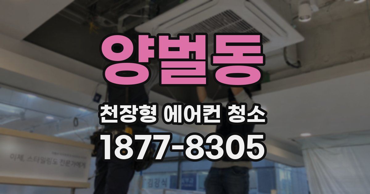 양벌동 천장형 에어컨 청소