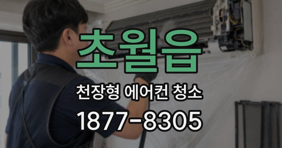 초월읍 천장형 에어컨 청소