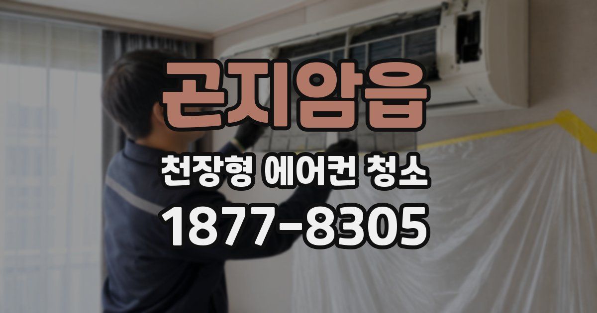 곤지암읍 천장형 에어컨 청소