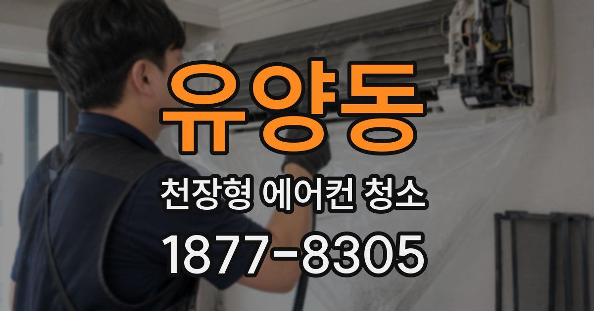 유양동 천장형 에어컨 청소