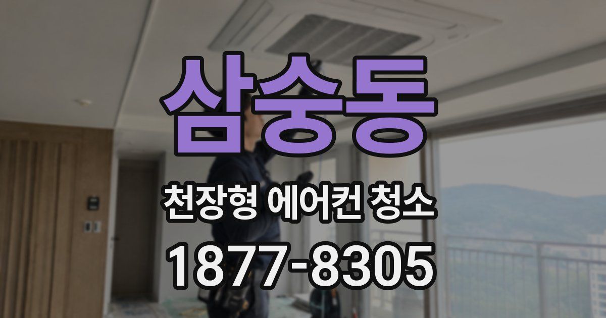 삼숭동 천장형 에어컨 청소