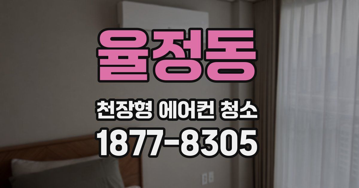 율정동 천장형 에어컨 청소